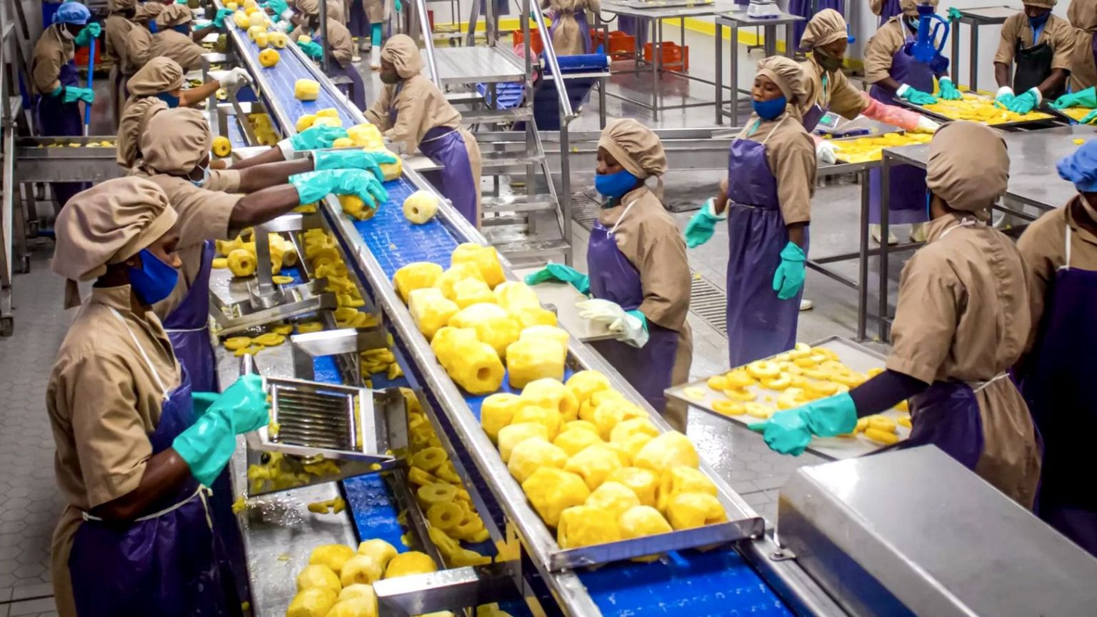 Elaboration de cinq (05) stratégies de développement de cinq (05) cluster